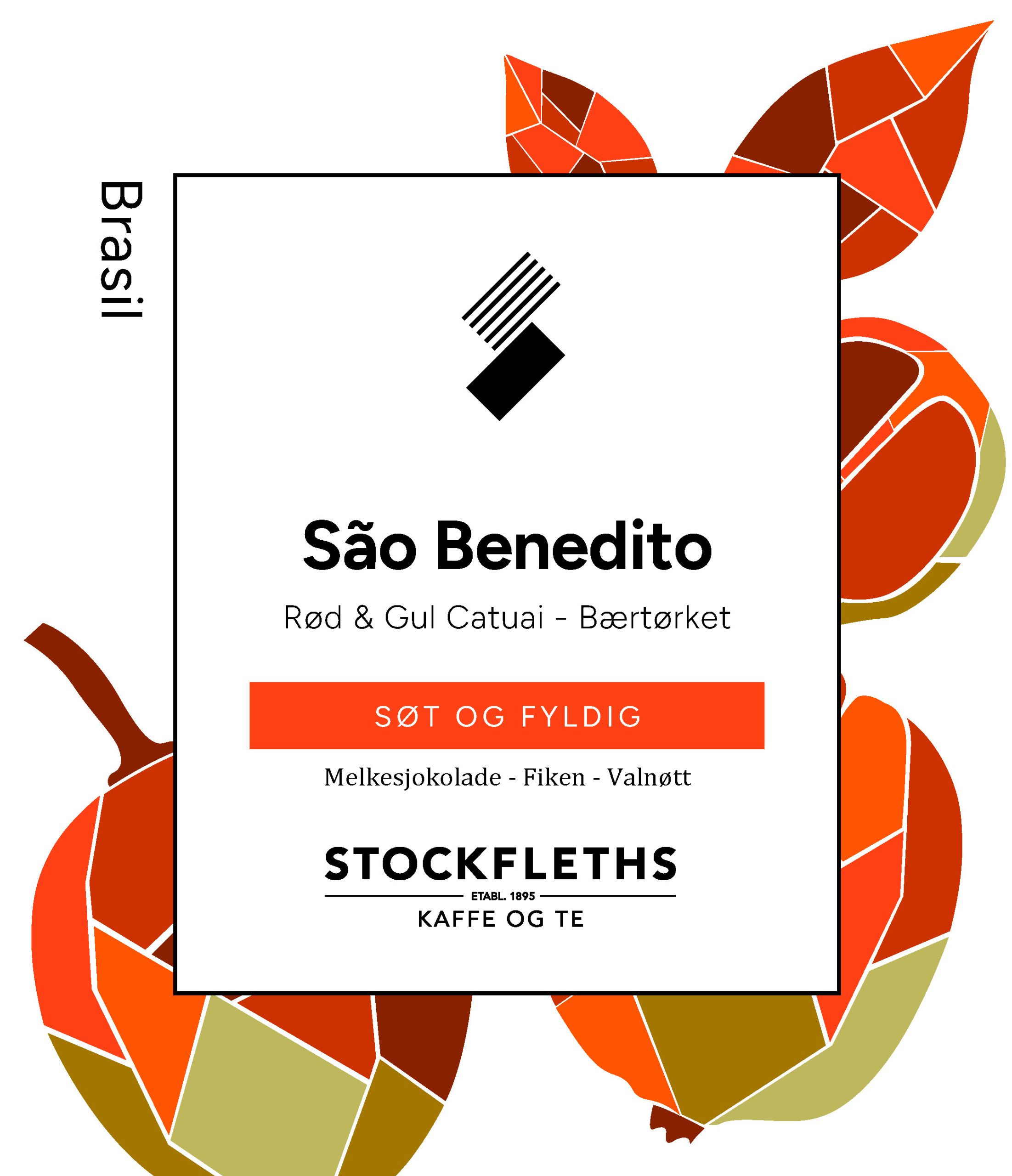 Sao Benedito 2026 v2 nett2
